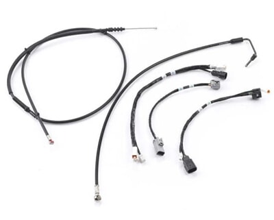 A9630655 A9630655.JPG