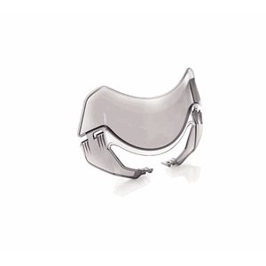 Flyscreen Visor Kit, Coated, Street Triple RS