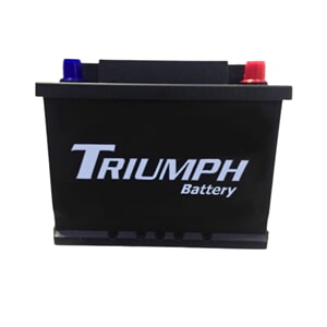 Battery, 12V