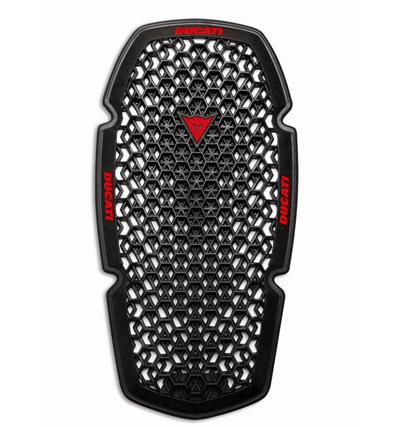 981071133-G2 Ducati-rygg.PNG