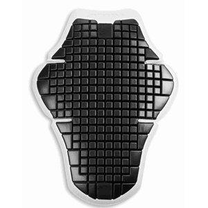 Ducati Warrior 2, rygginnlegg